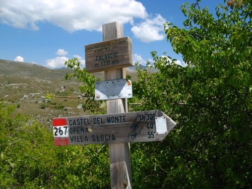 Immagine con verde, nuvole, legno, cielo, montagna, alberi, sentieri, numeri, foglie, palo, rami, indicazioni, freccia, segnaletica, azzurro, numero, rosso, monte, albero, segnali, cartelli