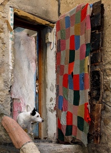 porta, cane, coperta, colori, patchwork, tenda, animale