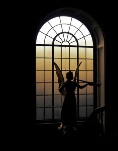angelo, finestra, ali, controluce, statua, tromba, luce, arco