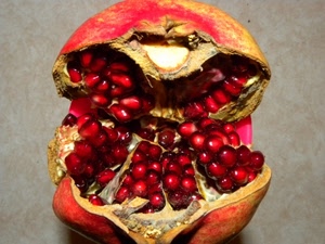 rosso, melograno, frutto, chicchi, semi, frutta, buccia, melagrana